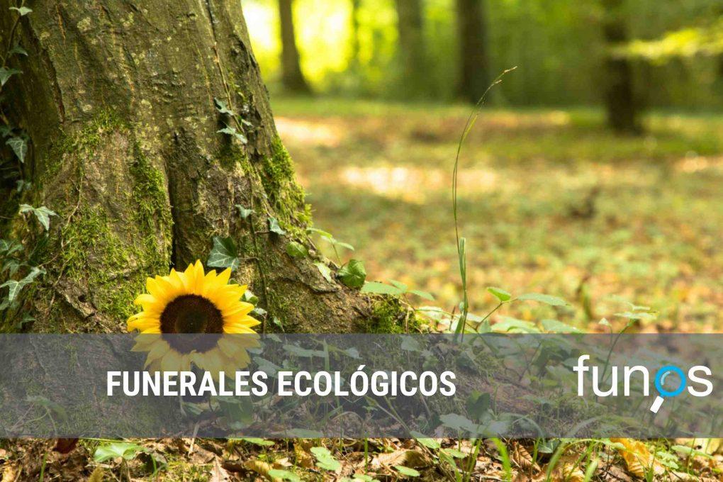 Post sobre ¿Qué son los funerales ecológicos? en Funos