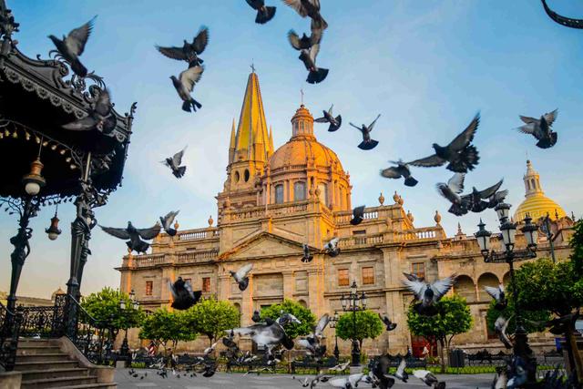 Tanatorios en la provincia de Guadalajara