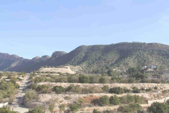 Tanatorios en la provincia de Murcia