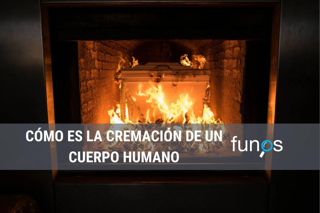 Cómo es la cremación de un - Funos - Comparador de Funerarias